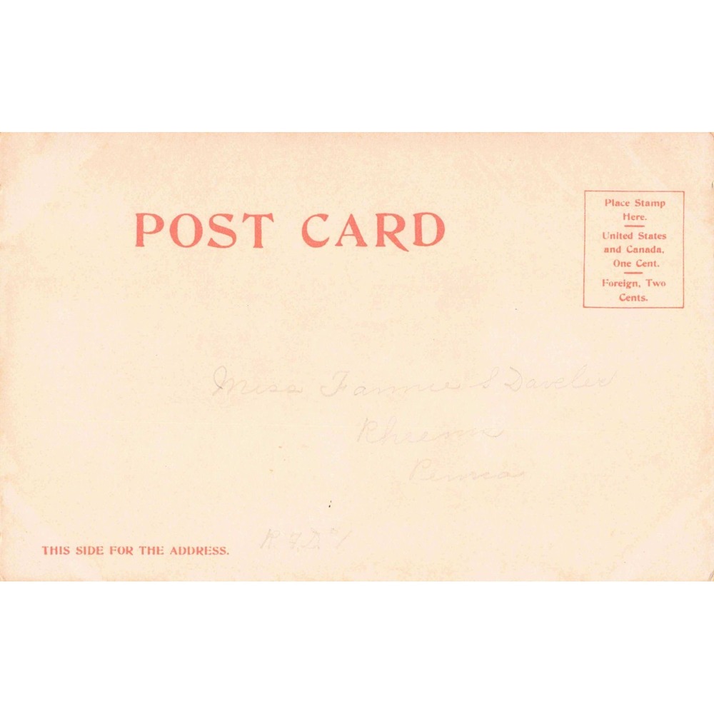 Vintage Detroit Publishing Co Postcard 7682 Thrown Cowboy Bucking Horse VG - Picture 2 of 2